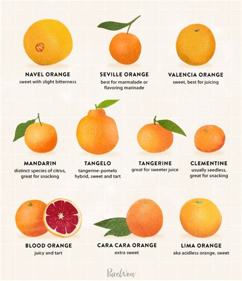 what are small oranges called